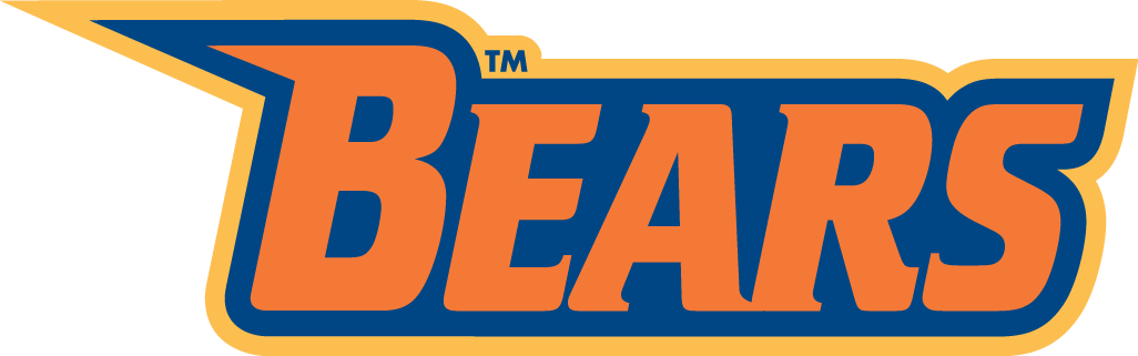 Morgan State Bears 2002-Pres Wordmark Logo v4 DIY iron on transfer (heat transfer)